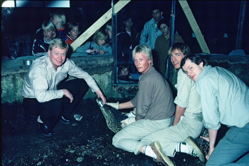 Jonas Wahlström, Jan Wihman, Bo Jonsson och Peter Svanberg flyttar krokodiler inför renoveringen av krokodildammen i början av 1980-talet.